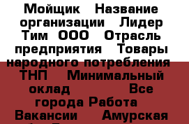 Мойщик › Название организации ­ Лидер Тим, ООО › Отрасль предприятия ­ Товары народного потребления (ТНП) › Минимальный оклад ­ 13 200 - Все города Работа » Вакансии   . Амурская обл.,Благовещенск г.